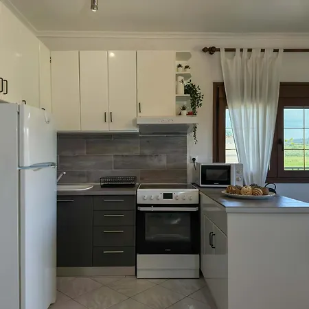 Casa vacanze Palm Luxury In Kallithea Kallithea (Chalkidiki)